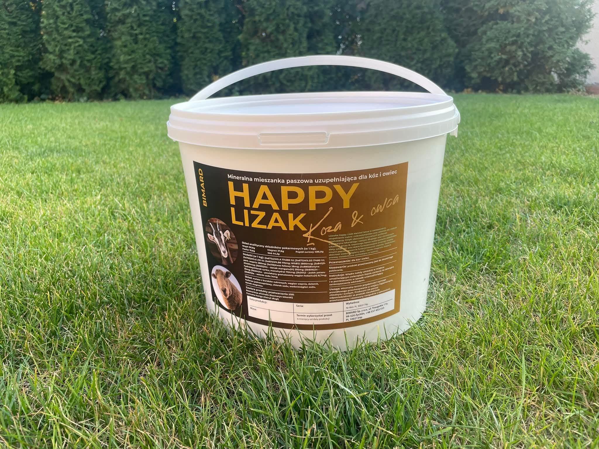 Happy Lizak